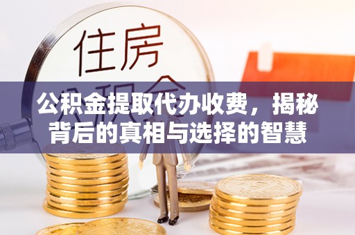禹州公积金提取代办收费，揭秘背后的真相与选择的智慧