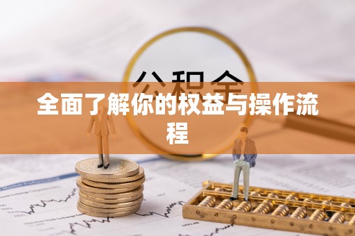 禹州全面了解你的权益与操作流程