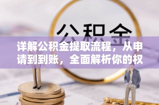 禹州详解公积金提取流程，从申请到到账，全面解析你的权益与操作步骤