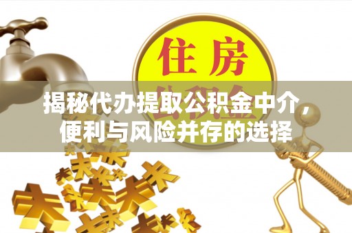 禹州揭秘代办提取公积金中介，便利与风险并存的选择