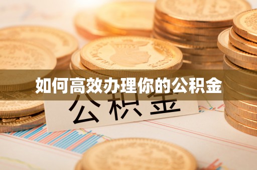 禹州如何高效办理你的公积金