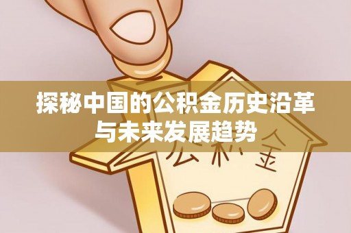 禹州探秘中国的公积金历史沿革与未来发展趋势