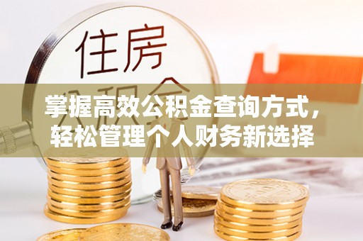 禹州掌握高效公积金查询方式，轻松管理个人财务新选择