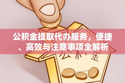 禹州公积金提取代办服务，便捷、高效与注意事项全解析