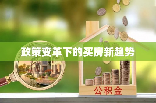 禹州政策变革下的买房新趋势