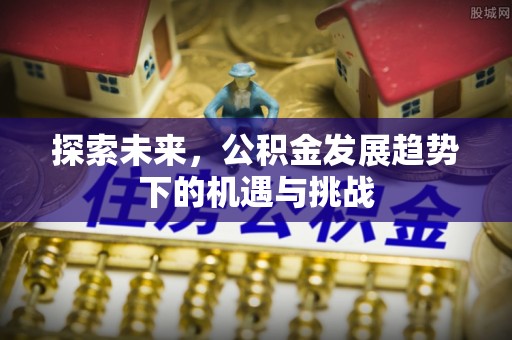禹州探索未来，公积金发展趋势下的机遇与挑战