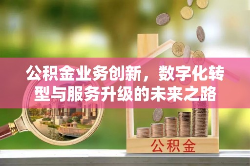 禹州公积金业务创新，数字化转型与服务升级的未来之路