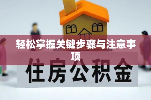 禹州轻松掌握关键步骤与注意事项