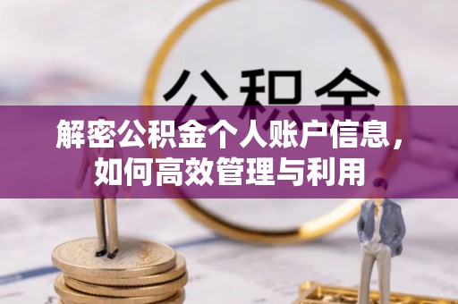 禹州解密公积金个人账户信息，如何高效管理与利用