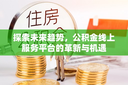 禹州探索未来趋势，公积金线上服务平台的革新与机遇