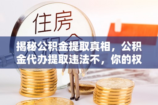禹州揭秘公积金提取真相，公积金代办提取违法不，你的权益如何保障？
