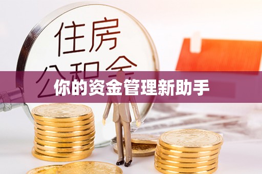 禹州你的资金管理新助手