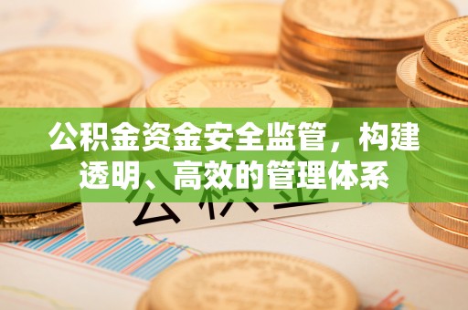 禹州公积金资金安全监管，构建透明、高效的管理体系