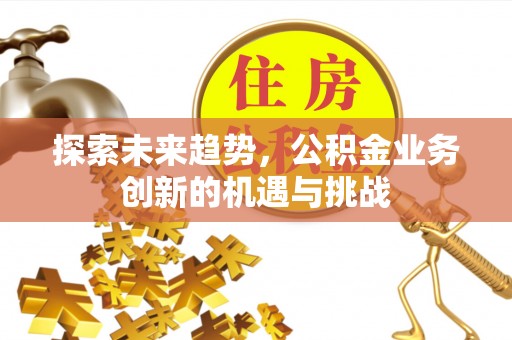 禹州探索未来趋势，公积金业务创新的机遇与挑战