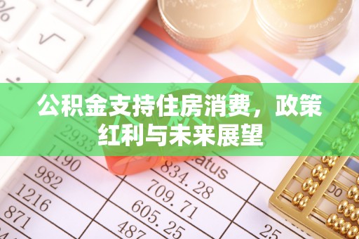 禹州公积金支持住房消费，政策红利与未来展望