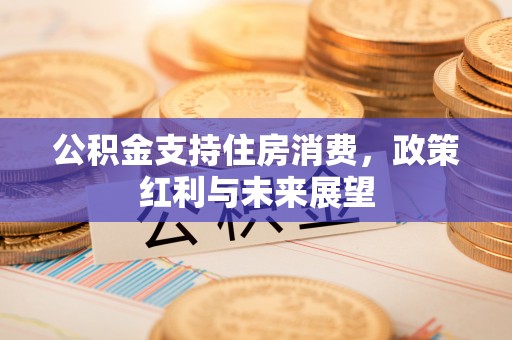 禹州公积金支持住房消费，政策红利与未来展望
