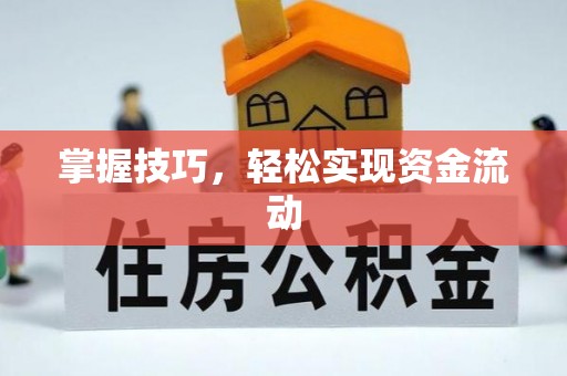 禹州掌握技巧，轻松实现资金流动