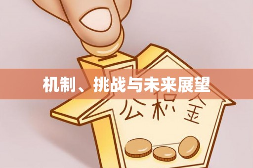 禹州机制、挑战与未来展望